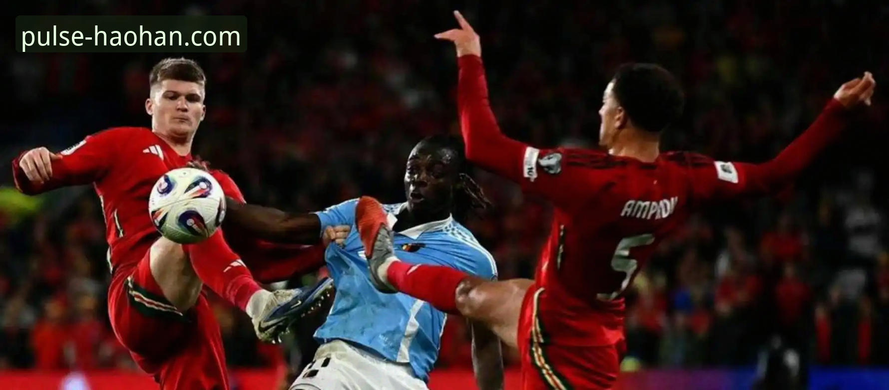 掌握波黑淘汰意大利的关键时刻，浩瀚体育专业平台必备观赛技巧